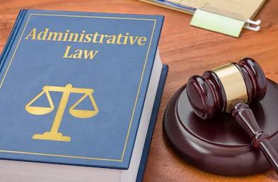 Blue book entitled "Administrative Law" and a gavel with file folder.