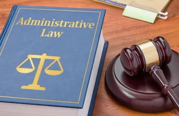 Blue book entitled "Administrative Law" and a gavel with file folder.
