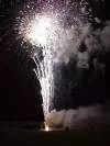 Fireworks exploding into the air on a dark night